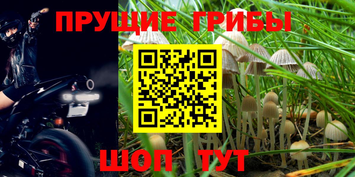 Псилоцибиновые грибы мухоморы  Псилоцибиновые грибы Cubensis  Вход с VPN  Феодосия 